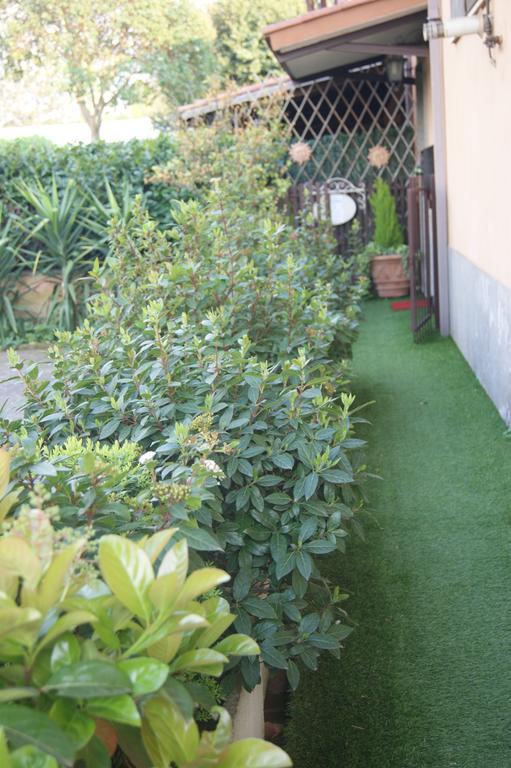 Residenza I Ciclamini Bed & Breakfast Rome Exterior photo